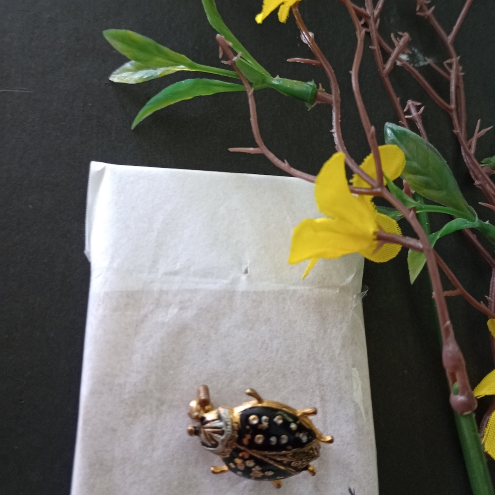 Vintage Scarab Ladybug Pin Brooch Signed